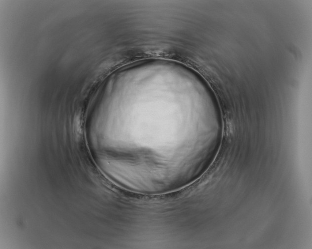 X0000114071106200910191516