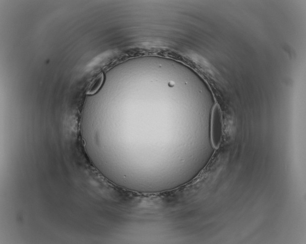 X0000114071110200910191516