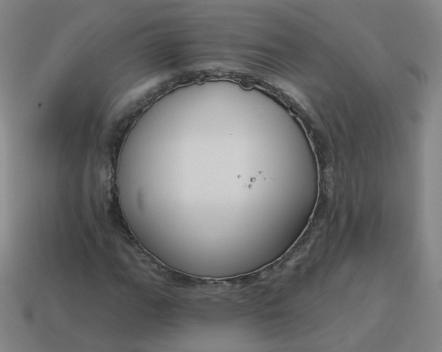 X0000114071111200910191516