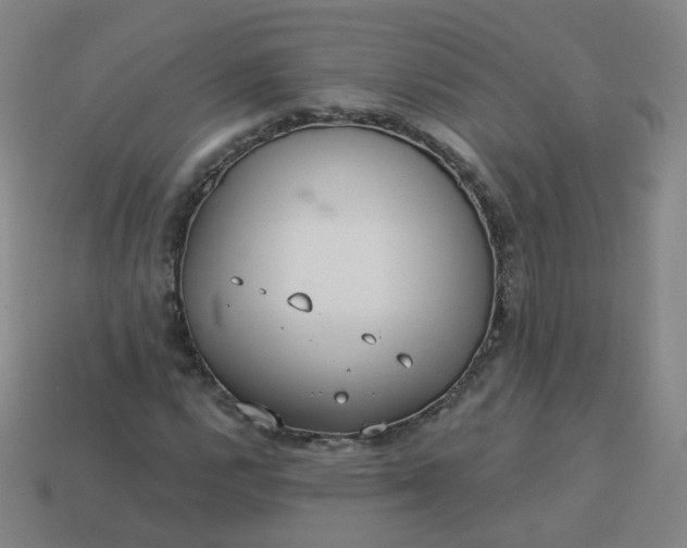 X0000114071112200910191516