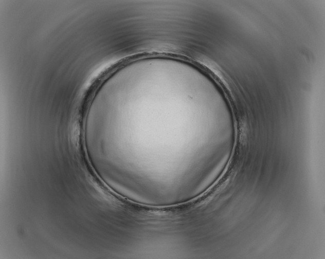 X0000114071115200910191516