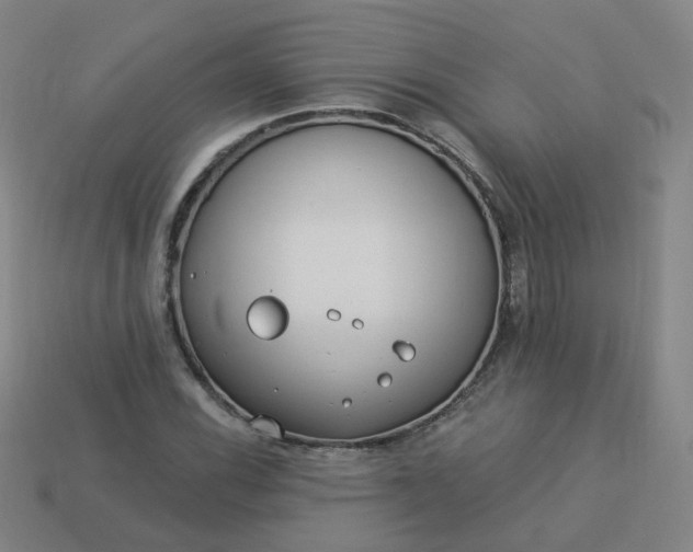 X0000114071116200910191516