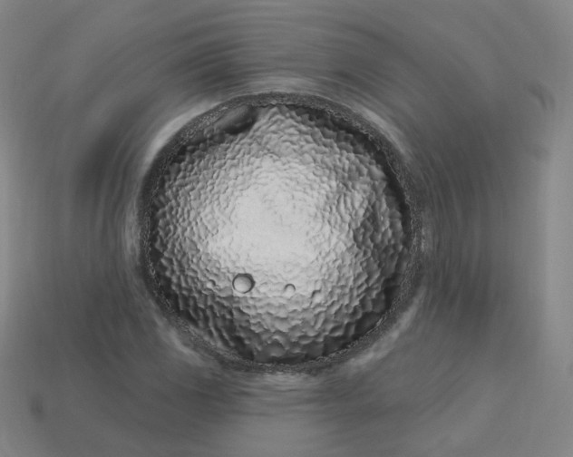 X0000114071117200910191516