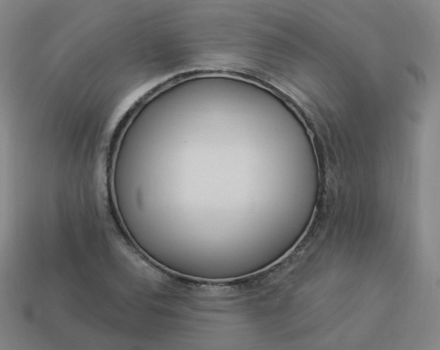 X0000114071120200910191516