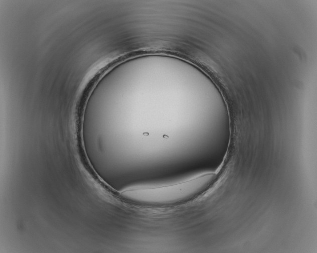 X0000114071122200910191516