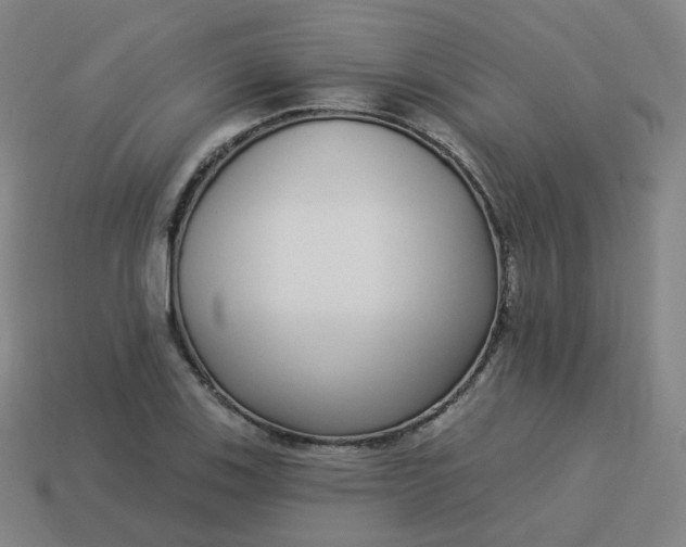 X0000114071123200910191516