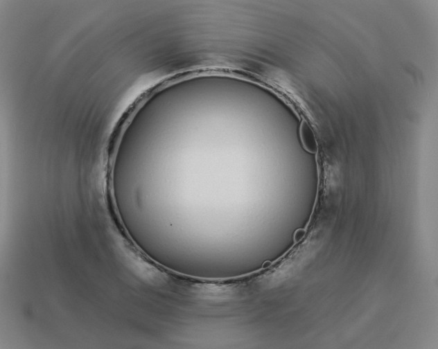 X0000114071124200910191516