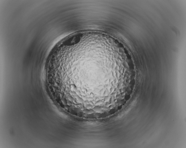 X0000114071125200910191516