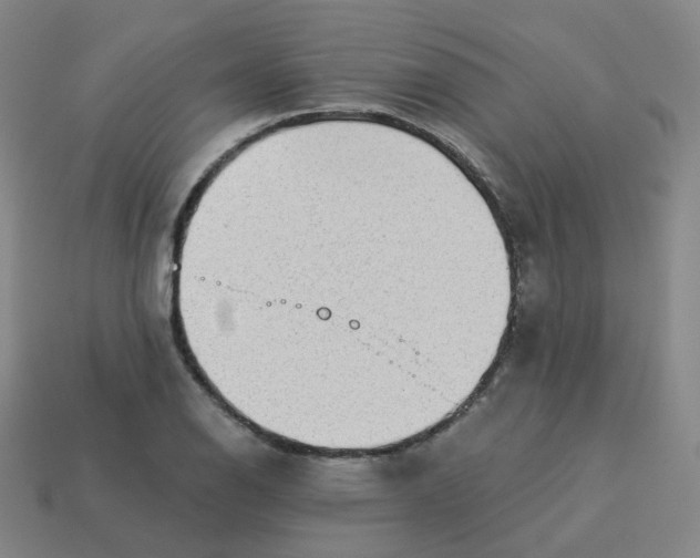 X0000114071126200910191516