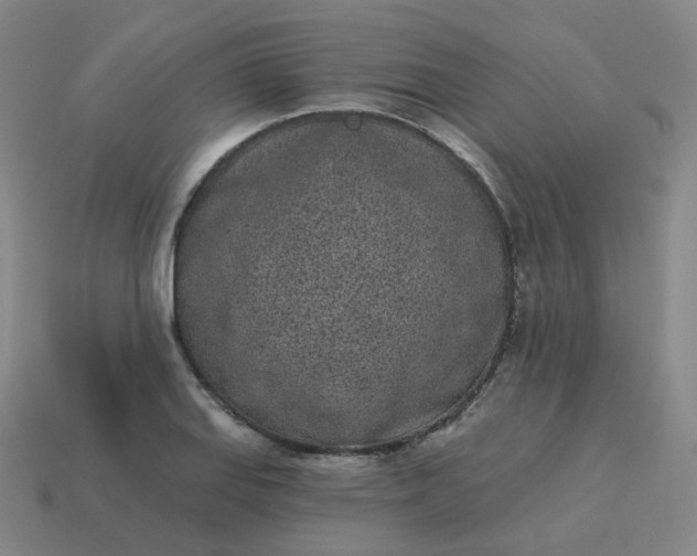 X0000114071127200910191516