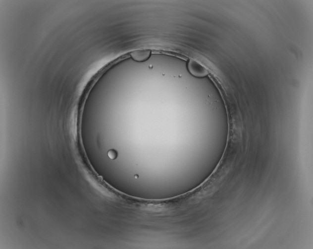 X0000114071128200910191516