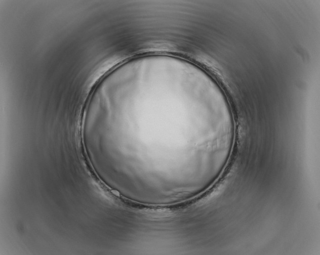 X0000114071129200910191516