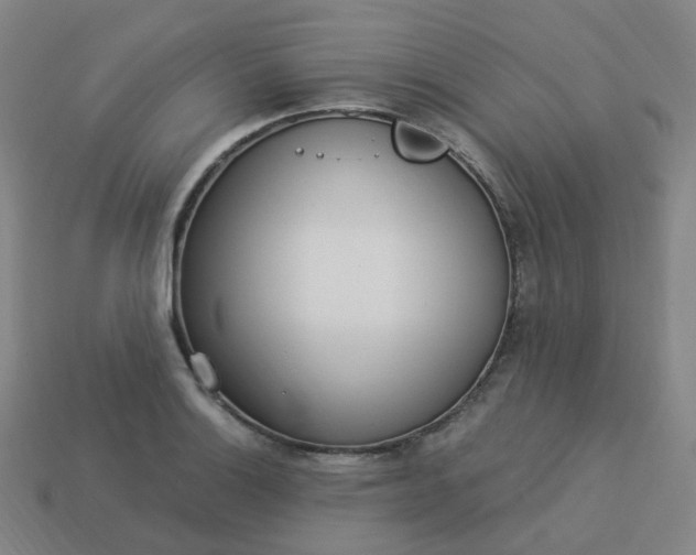 X0000114071132200910191516