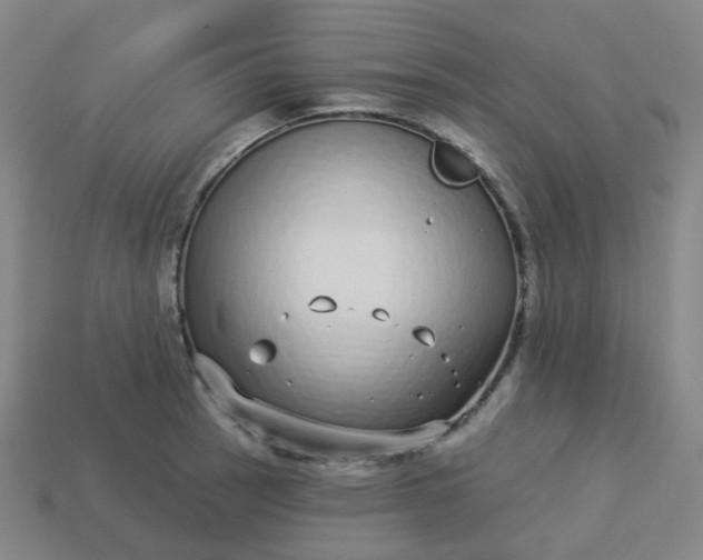 X0000114071137200910191516