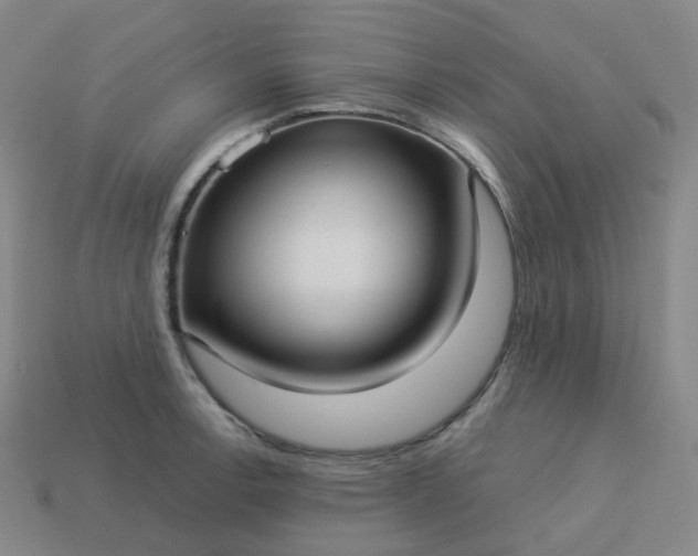 X0000114071138200910191516