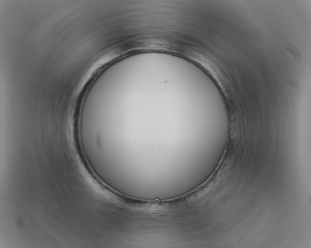 X0000114071139200910191516