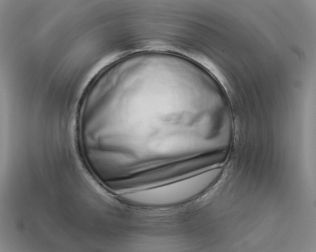 X0000114071142200910191516