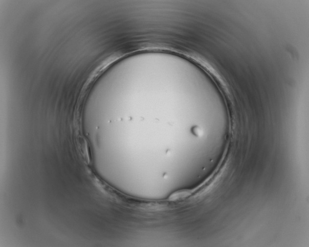 X0000114071145200910191516