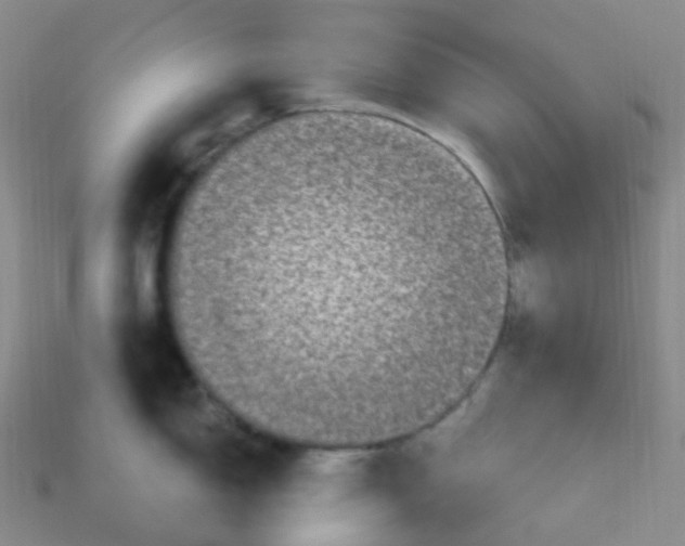 X0000114071150200910191516