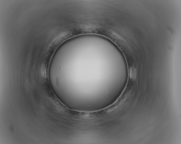 X0000114071155200910191516