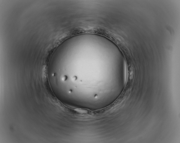 X0000114071156200910191516