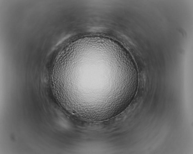 X0000114071158200910191516