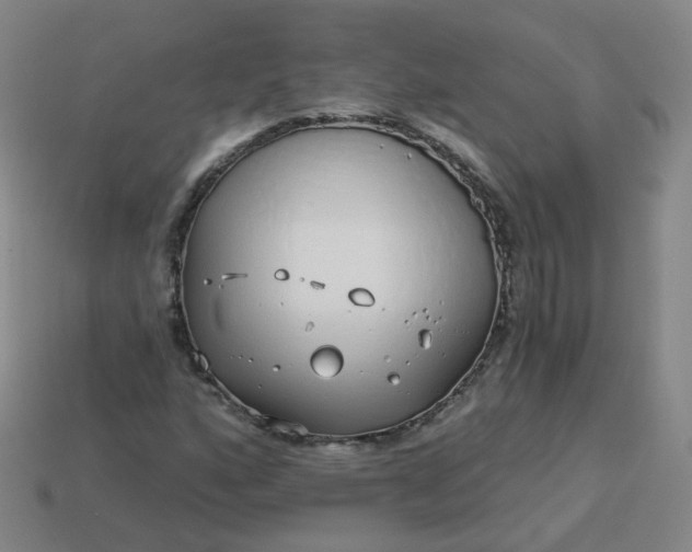 X0000114071160200910191516