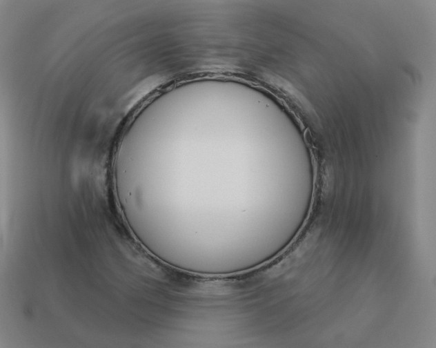 X0000114071162200910191516