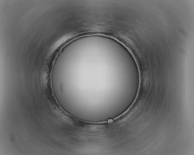 X0000114071163200910191516