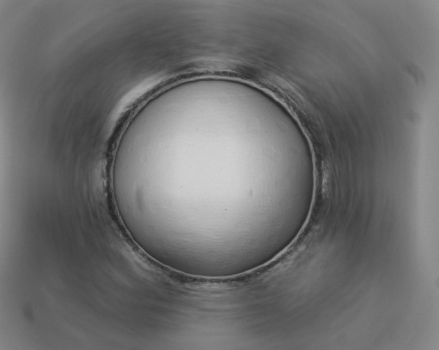 X0000114071164200910191516