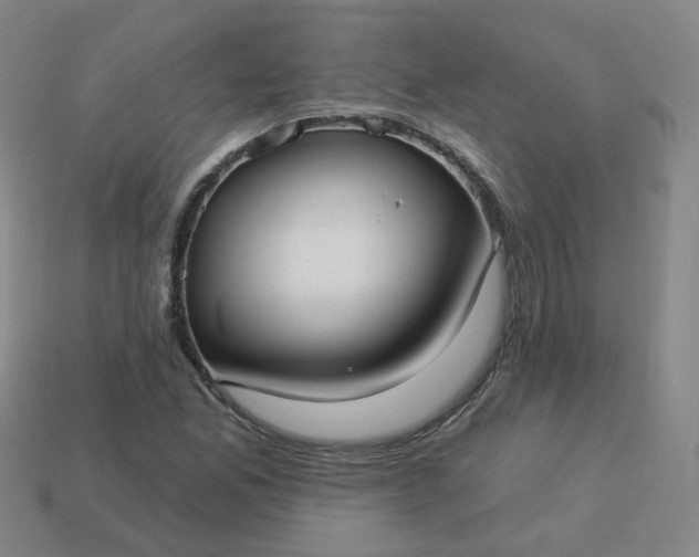 X0000114071165200910191516