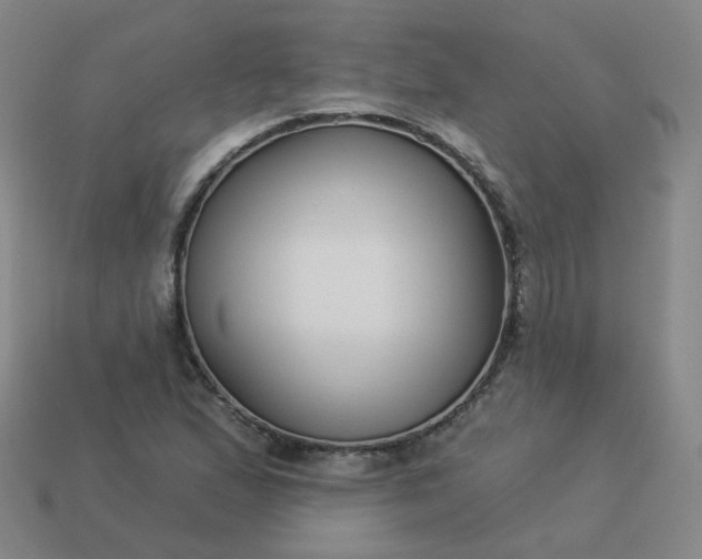 X0000114071167200910191516