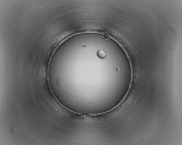 X0000114071169200910191515