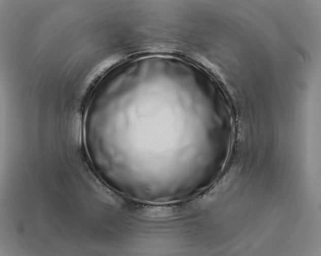 X0000114071171200910191515