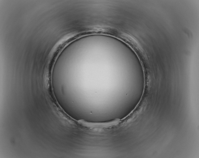 X0000114071172200910191515