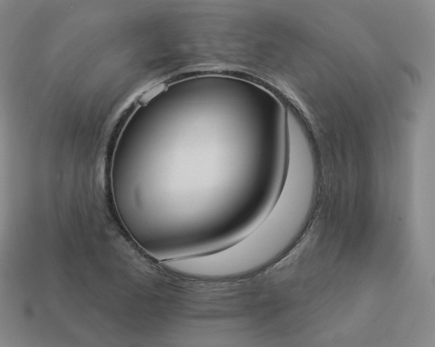 X0000114071173200910191515