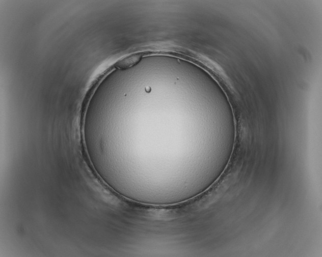 X0000114071176200910191515