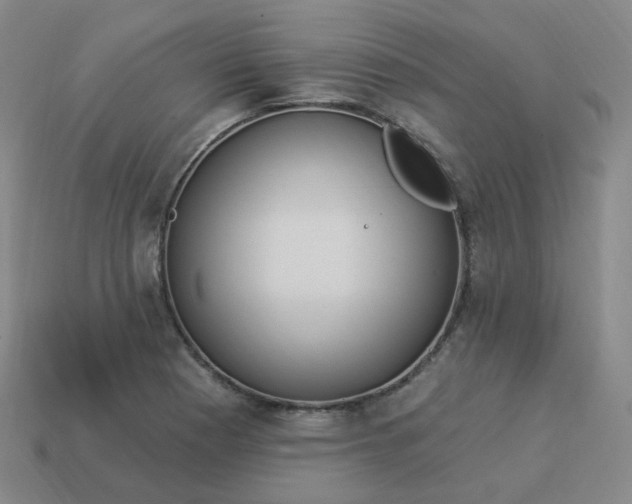 X0000114071177200910191515