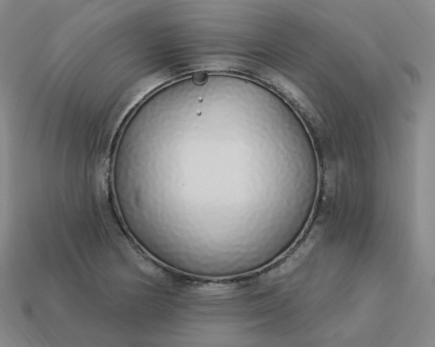 X0000114071178200910191515