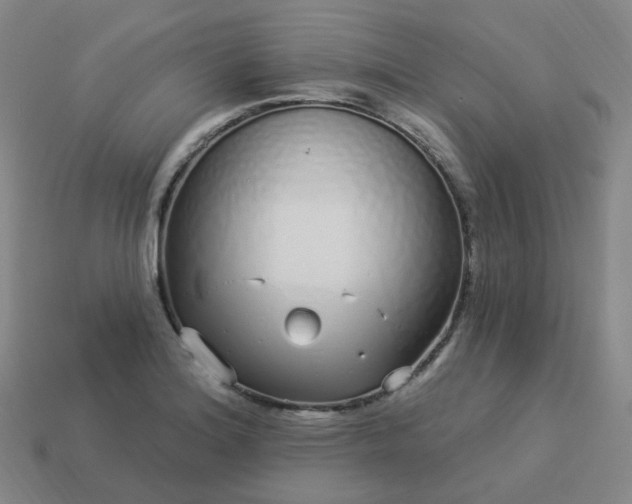 X0000114071180200910191515