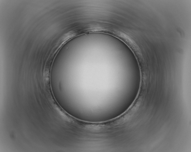 X0000114071185200910191515