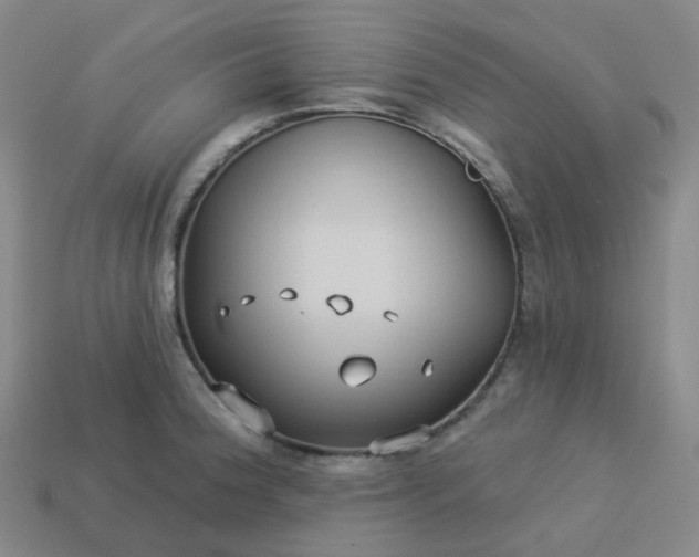 X0000114071188200910191515