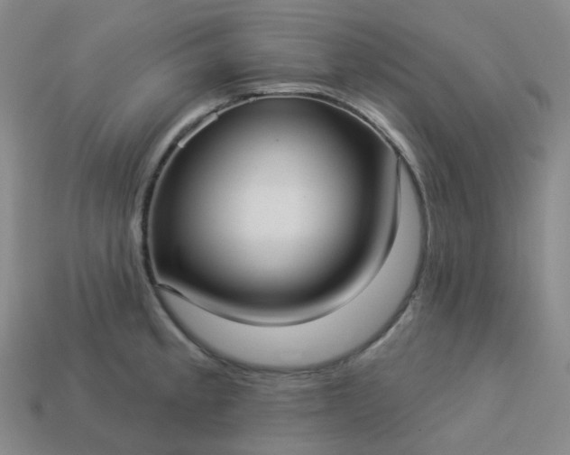 X0000114071189200910191515