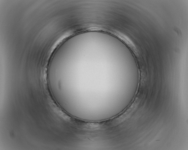 X0000114071190200910191515