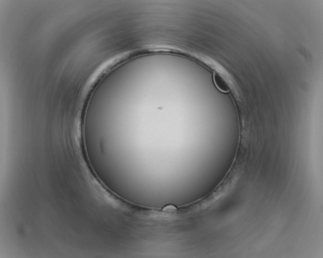 X0000114071191200910191515