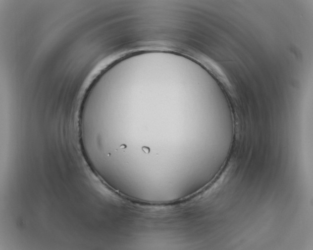 X0000114071192200910191515