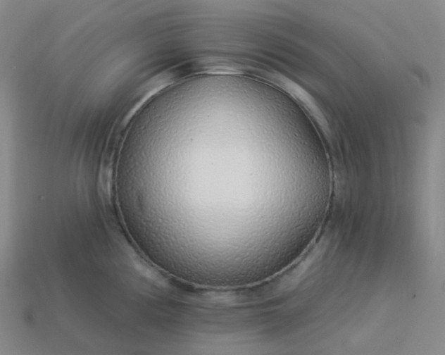 X0000114071194200910191515