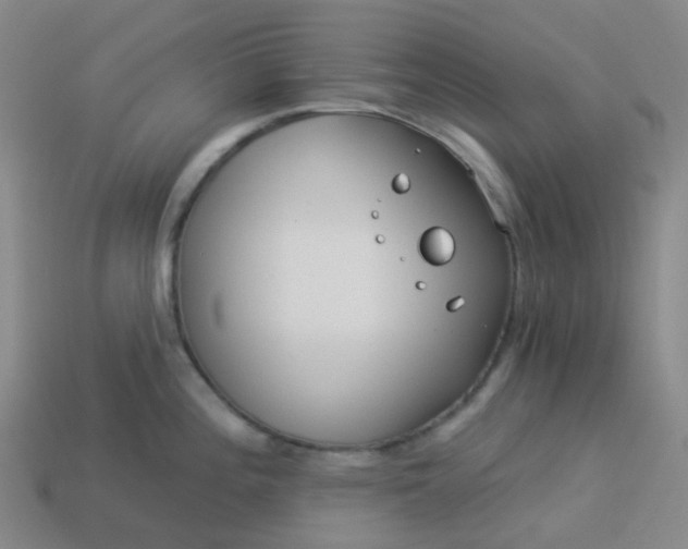 X0000114071196200910191515