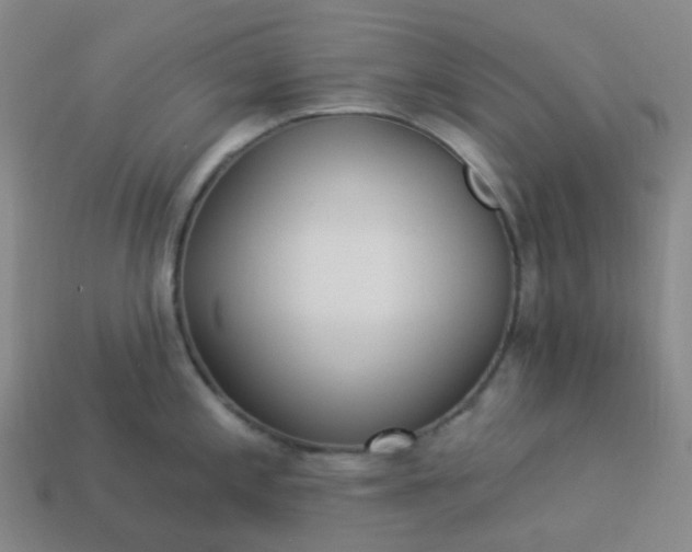 X0000114071197200910191515