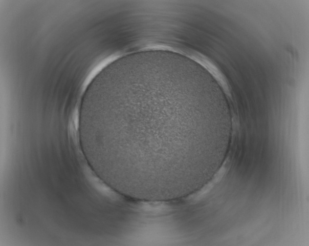 X0000114071198200910191515